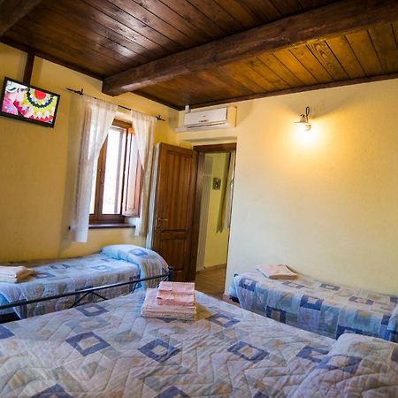 Agriturismo Il Podere 호텔 페트리냐노 외부 사진