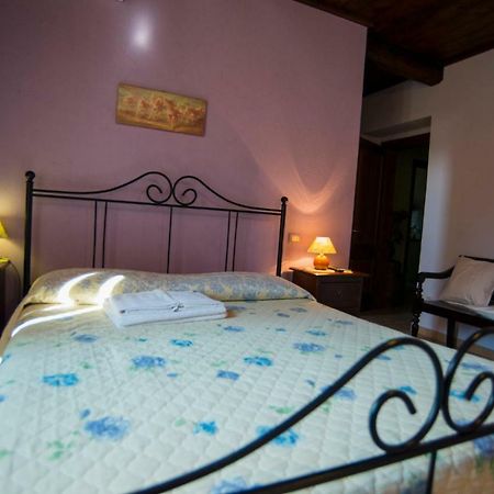 Agriturismo Il Podere 호텔 페트리냐노 외부 사진