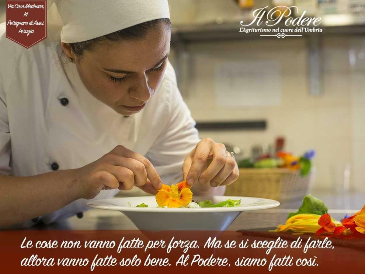 Agriturismo Il Podere 호텔 페트리냐노 외부 사진