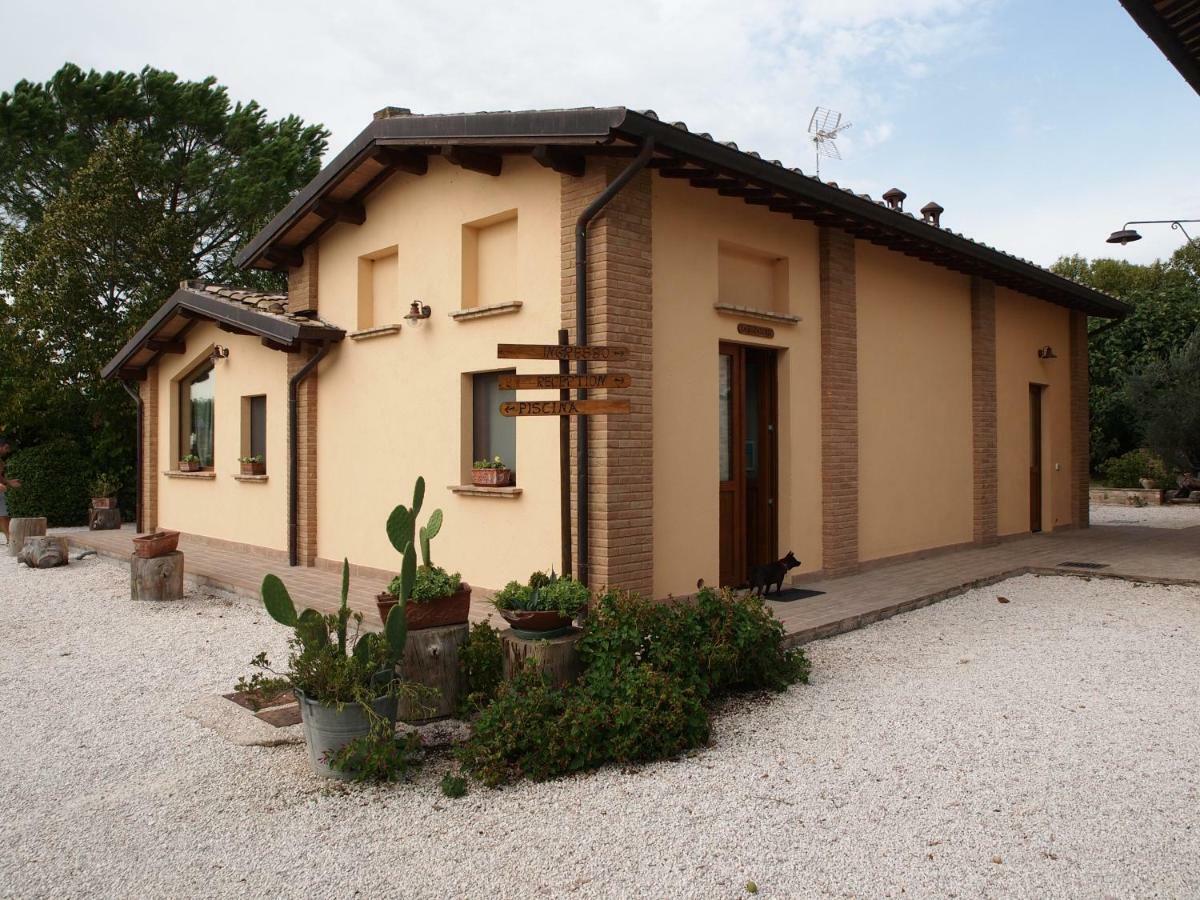 Agriturismo Il Podere 호텔 페트리냐노 외부 사진