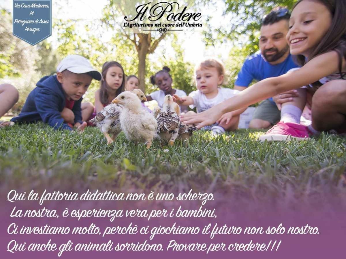 Agriturismo Il Podere 호텔 페트리냐노 외부 사진