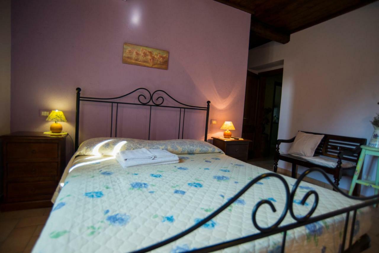 Agriturismo Il Podere 호텔 페트리냐노 외부 사진