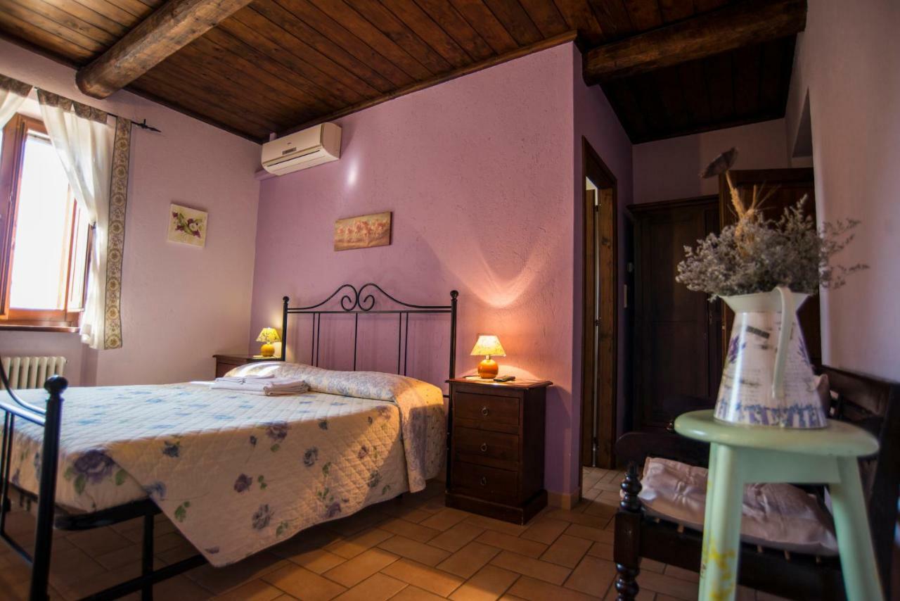 Agriturismo Il Podere 호텔 페트리냐노 외부 사진